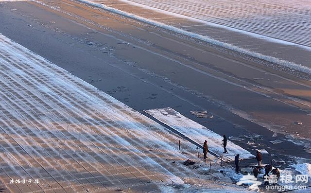 神奇的哈尔滨冰雪大世界是怎么建成的？[墙根网]