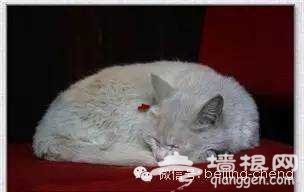 这么喜感的北京土话，您听着乐了吗？