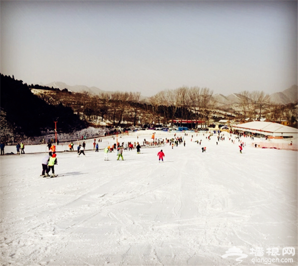 冬日去哪儿玩儿 天津玉龙滑雪场推介[墙根网]
