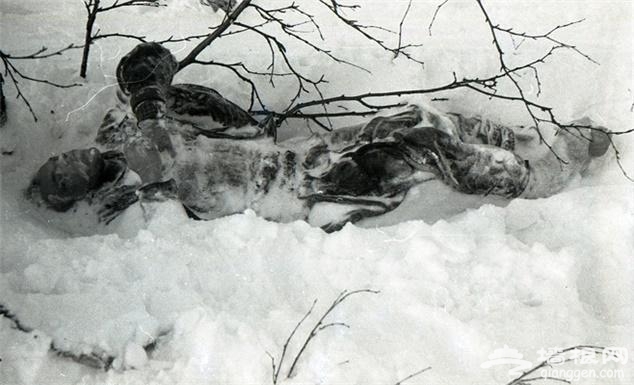 不可思议的事件：1959年的9位登山者的离奇死亡[墙根网]