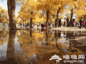 让你的旅游照不再人山人海[墙根网]