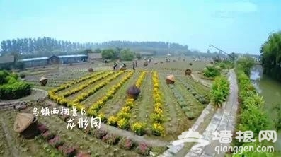 盘点被跑男“翻牌”的地方，哪的颜值最高？[墙根网]