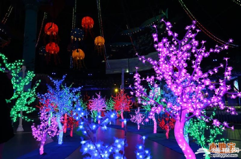 上海圣诞节去哪玩？2015上海欢乐谷圣诞游玩指南[墙根网]