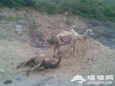 点击查看下一页