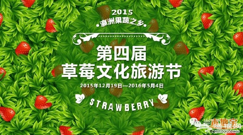 2015-2016上海崇明草莓文化旅游节[墙根网]