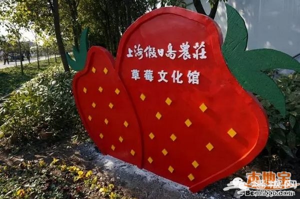 2015-2016上海崇明草莓文化旅游节[墙根网]