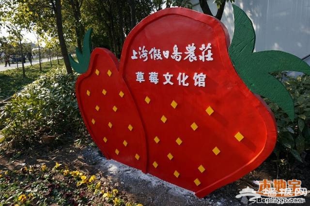 2015上海崇明草莓文化旅游节