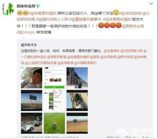 盗猎者晒“大战森林公安”照片 国家林业局介入调查[墙根网]