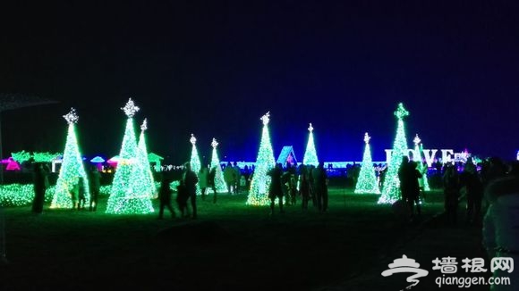 2015石家庄森林河趣那梦幻灯光节炫彩开幕[墙根网]