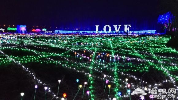 2015石家庄森林河趣那梦幻灯光节炫彩开幕[墙根网]