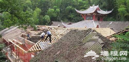 笔架山云台寺地下4米挖出白蚁王国 藏巨型蚁后产子超40年