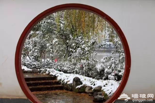 云南下了一场穿越千年的雪[墙根网]