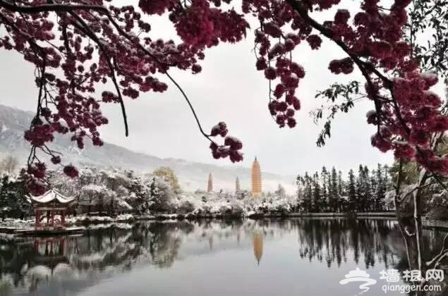 云南下了一场穿越千年的雪[墙根网]