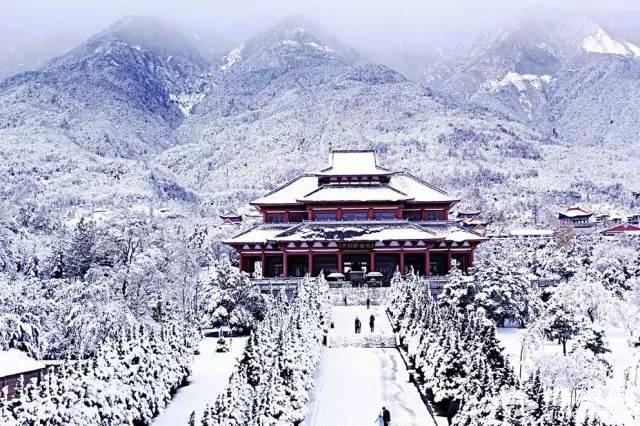 云南下了一场穿越千年的雪[墙根网]