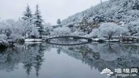 云南下了一场穿越千年的雪[墙根网]