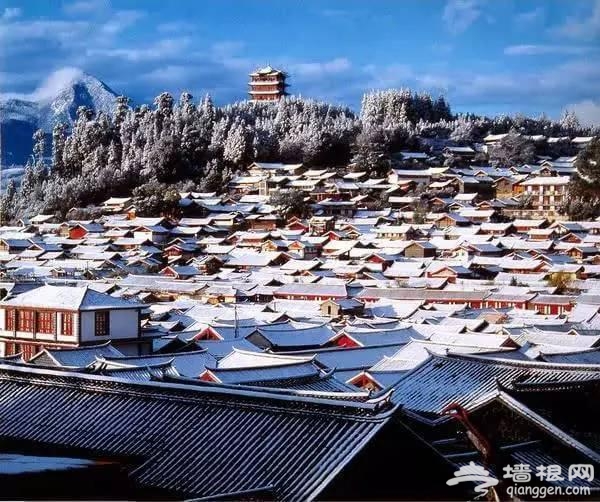 云南下了一场穿越千年的雪[墙根网]