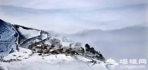 云南下了一场穿越千年的雪[墙根网]