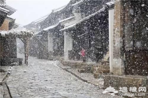 云南下了一场穿越千年的雪[墙根网]