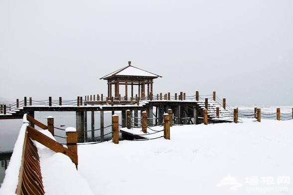 云南下了一场穿越千年的雪[墙根网]
