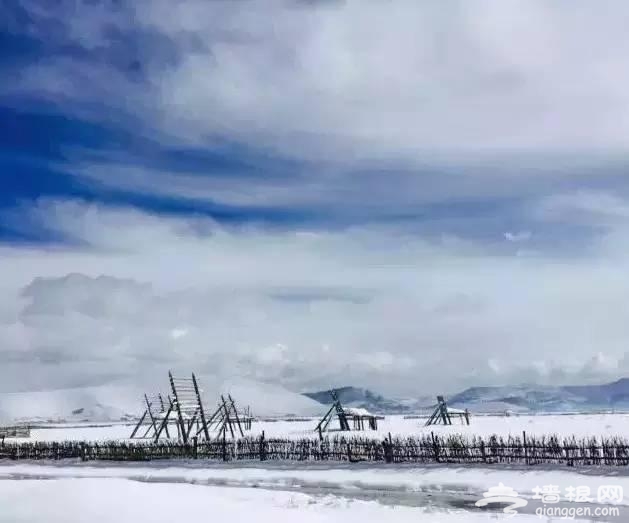 云南下了一场穿越千年的雪[墙根网]