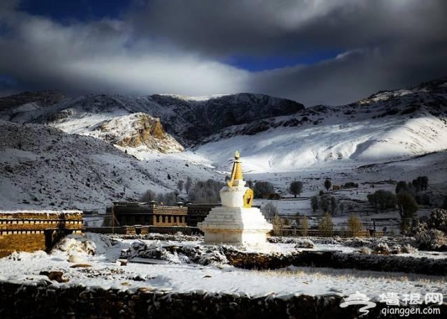 云南下了一场穿越千年的雪[墙根网]