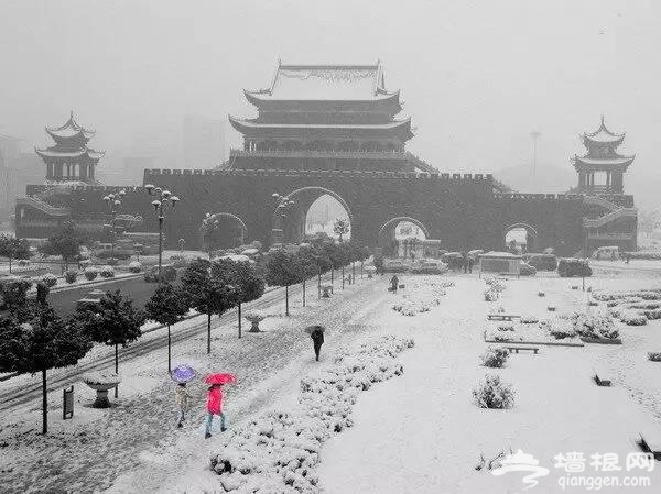 云南下了一场穿越千年的雪[墙根网]
