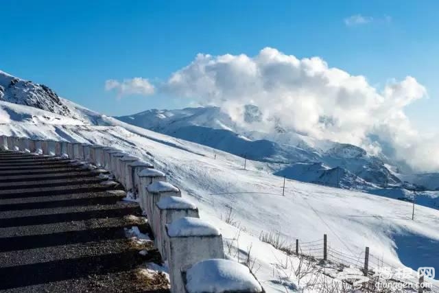 云南下了一场穿越千年的雪[墙根网]