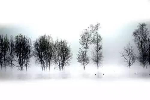 云南下了一场穿越千年的雪[墙根网]