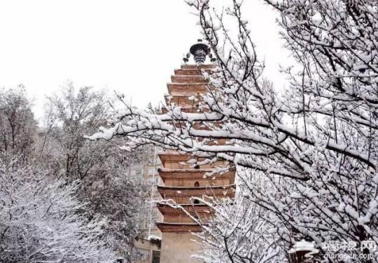 云南下了一场穿越千年的雪