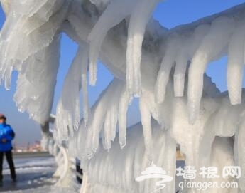 大连海岸奇观 路人纷纷拍照留念 揭秘大连海岸奇观形成原因