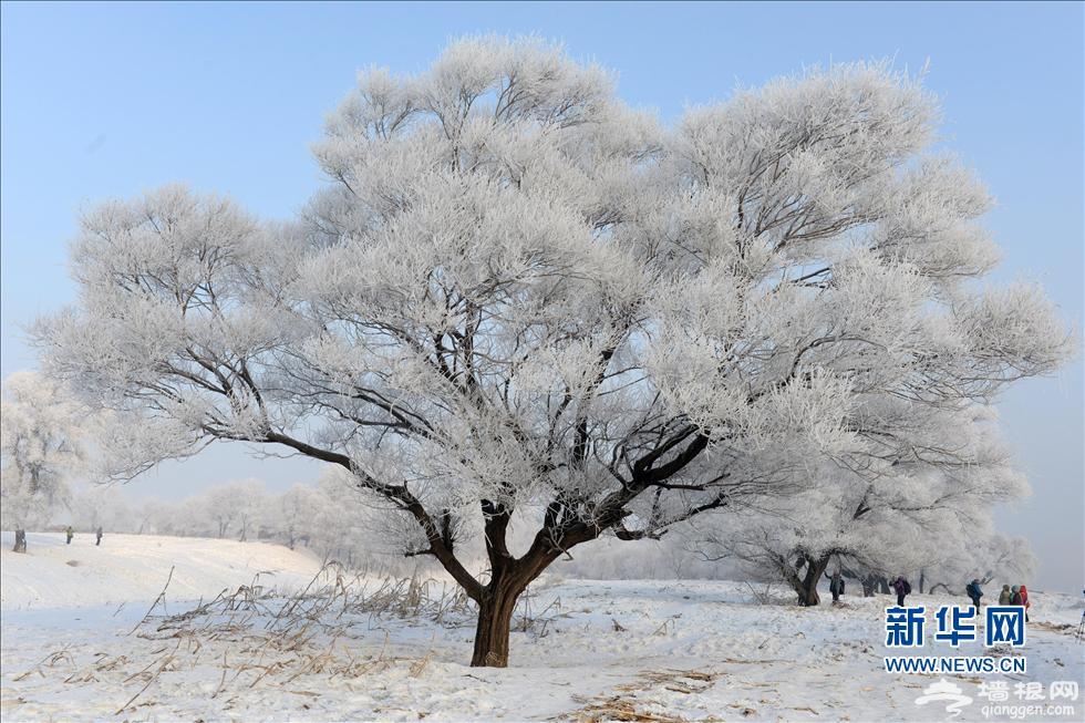 2016元旦出游 走南闯北去戏水玩雪[墙根网]