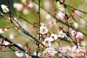 元旦自驾游 绕开拥堵自驾乐