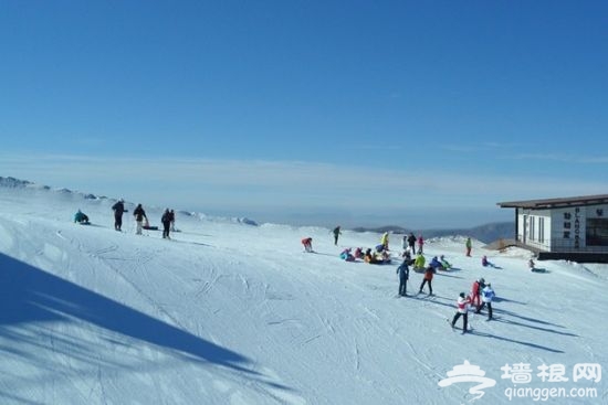 天津蓟州国际滑雪场(来源：网络)