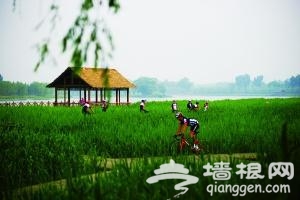 北京通州将现水生态文明城 部分水道将通航[墙根网]