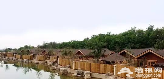 天津周边居然有这么多适合冬季出游的地方[墙根网]
