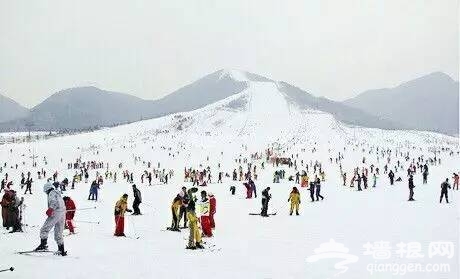 天津周边居然有这么多适合冬季出游的地方[墙根网]