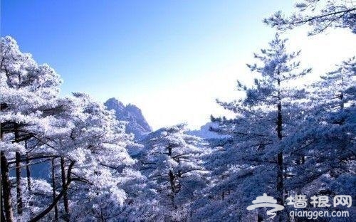 元旦3天江浙沪周边好去处[墙根网]