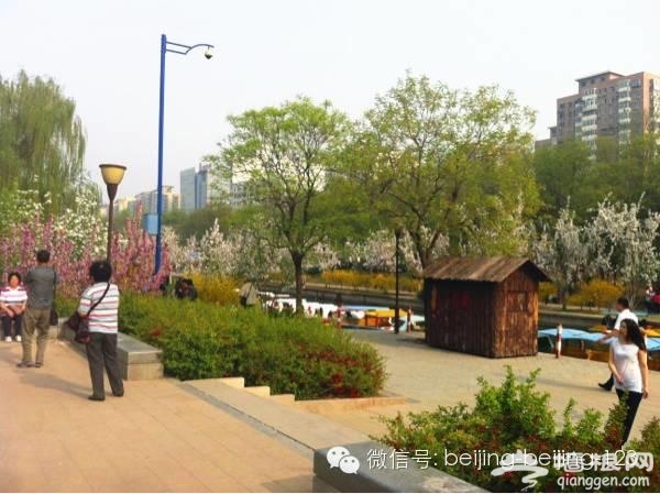 北京最新最全15条地铁 沿线景点值得收藏[墙根网]