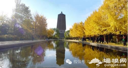 北京最新最全15条地铁 沿线景点值得收藏[墙根网]
