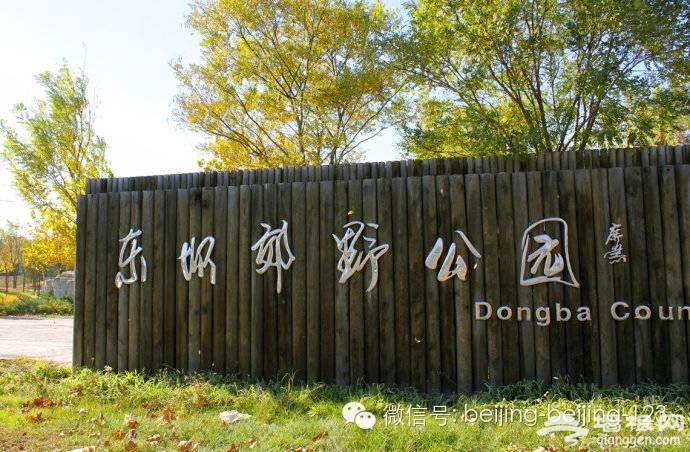 北京最新最全15条地铁 沿线景点值得收藏[墙根网]