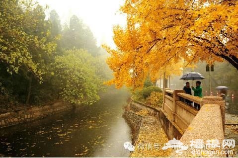 北京最新最全15条地铁 沿线景点值得收藏[墙根网]