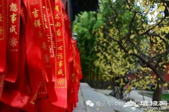 北京新年祈福，这些寺庙最灵验！[墙根网]