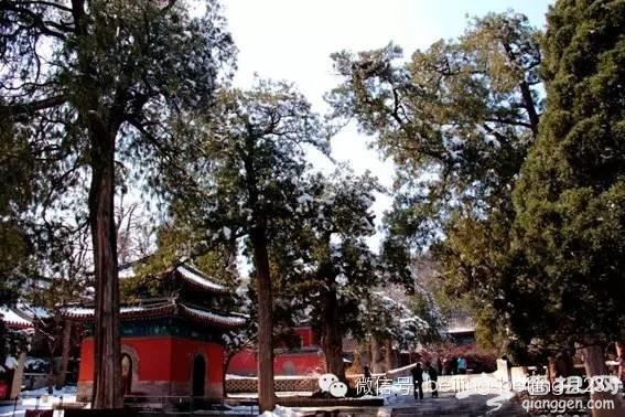 北京新年祈福，这些寺庙最灵验！[墙根网]