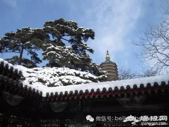 北京新年祈福，这些寺庙最灵验！[墙根网]