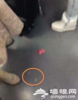 上海地铁一女子吃凤爪乱吐被指责 舌战乘客飙脏话