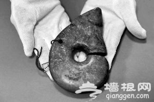 被追回的玉猪龙。