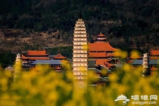 寻找冬日的暖阳 中国最适合父母养身的9个旅行地[墙根网]