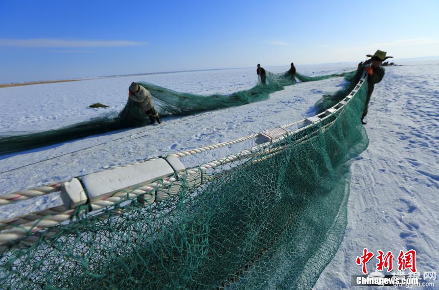 新疆乌伦古湖冬捕拉开序幕[墙根网]