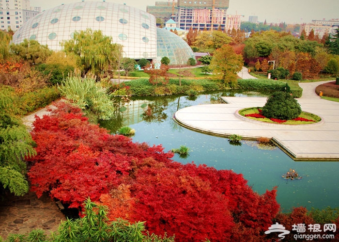 逛校园赏美景 看哪些大学校园成国家级景区[墙根网]