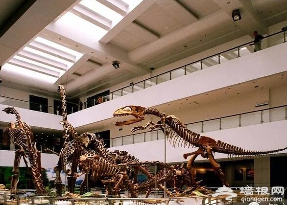 逛校园赏美景 看哪些大学校园成国家级景区[墙根网]